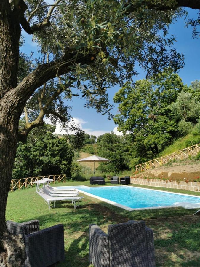 Apartment In Luxuryproperty Privatepool Garden Bbq Airc X8 Castelnuovo Di Porto Exterior foto